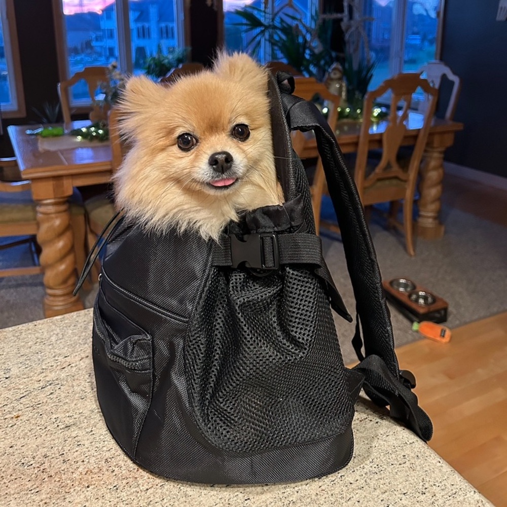 Pet Carrier Backpack - Picture 9 of 9